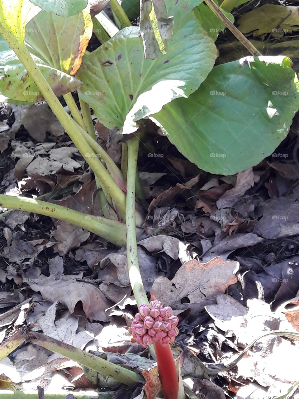 perfect imperfections