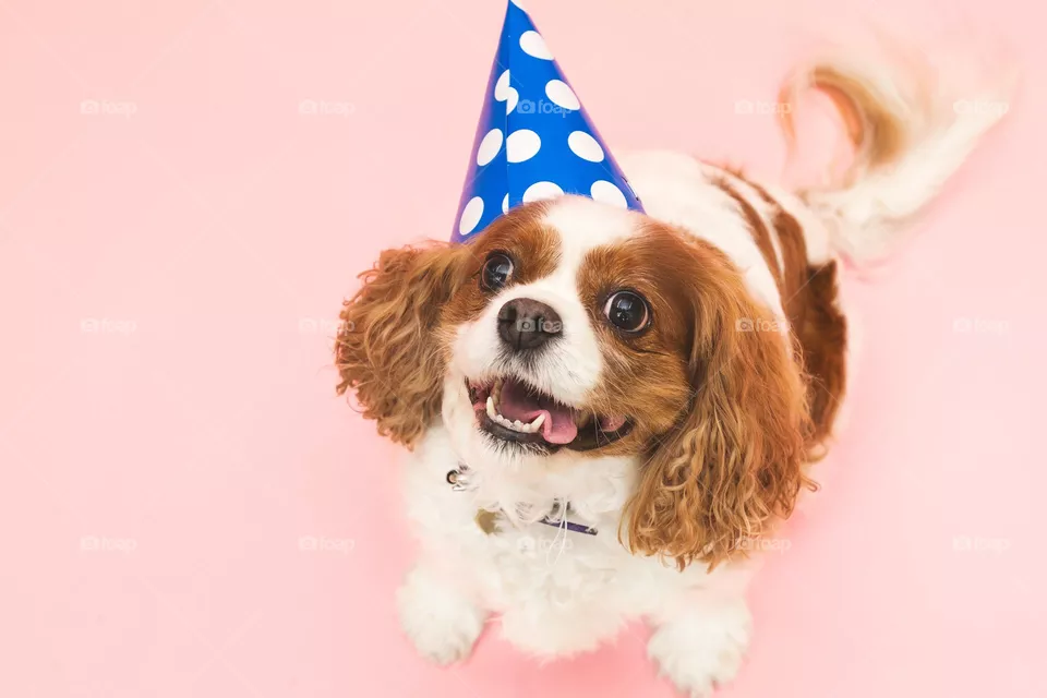 Birthday