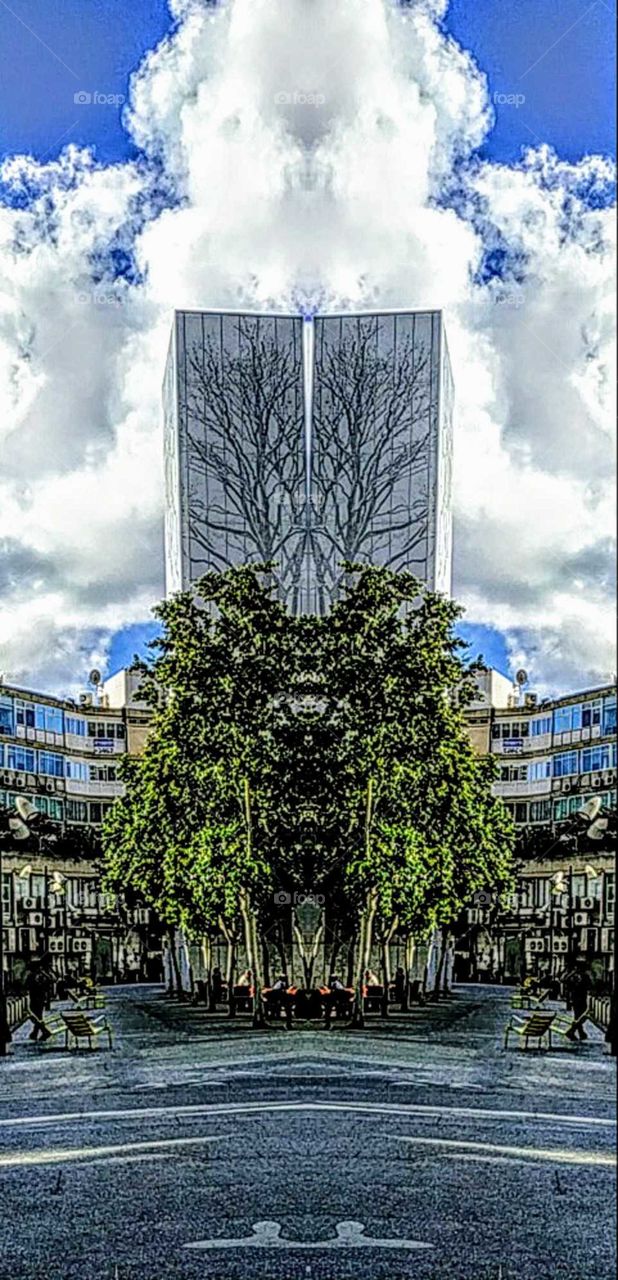 Walks in Tel Aviv, December 2, 2019.