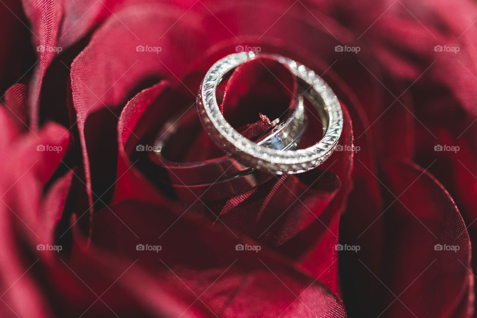 ring on roses