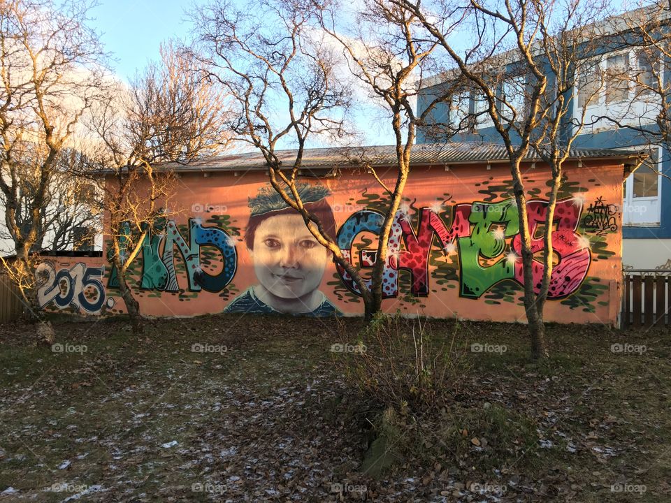Street art, graffiti, Reykjavik. 2016. 