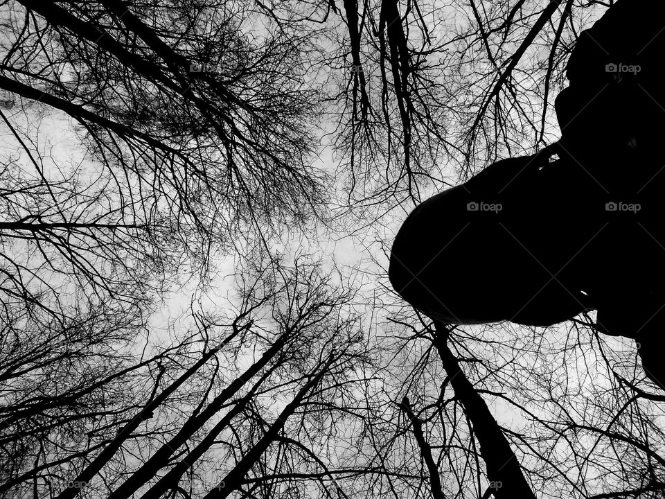 black and white background person and trees nature