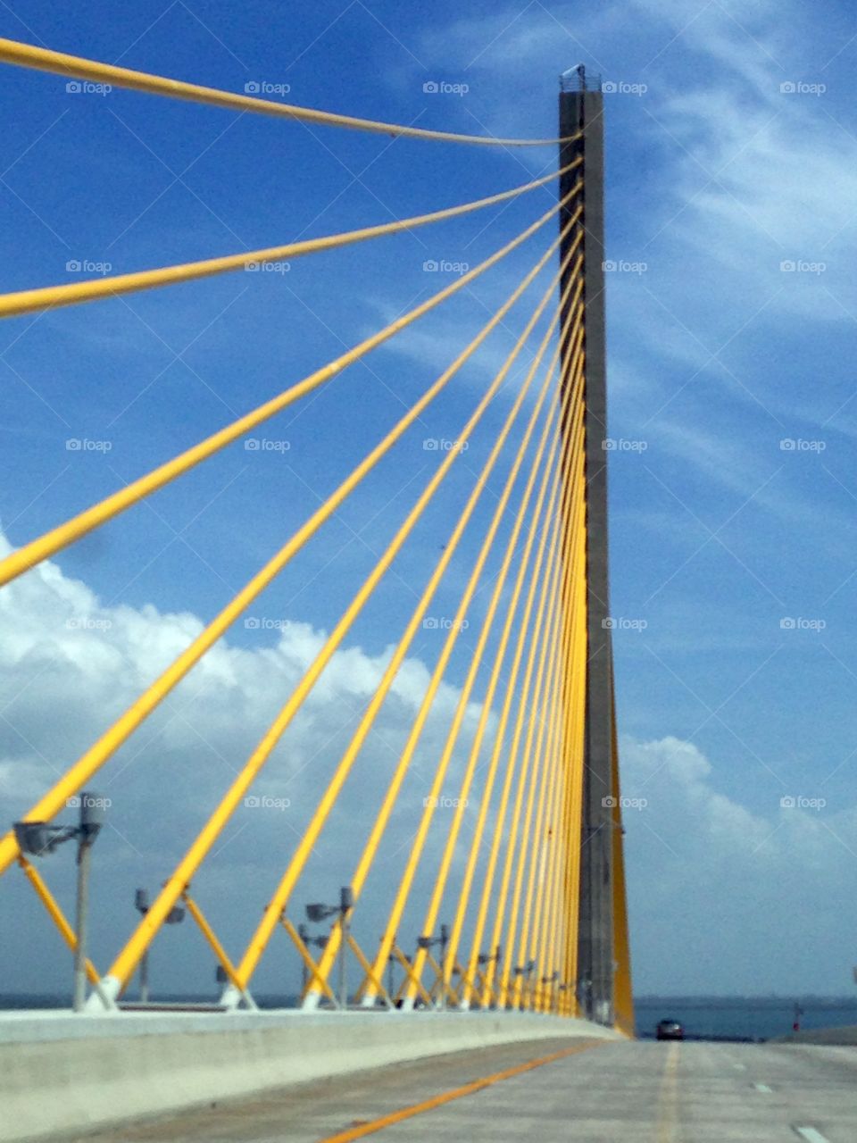 Tampa bridge