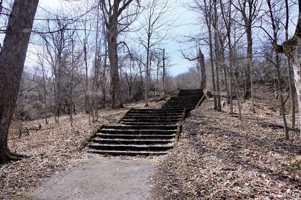 Staircase in the park