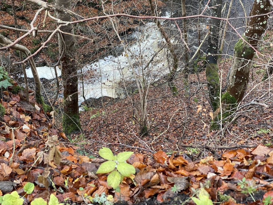 Climbing high above the river 