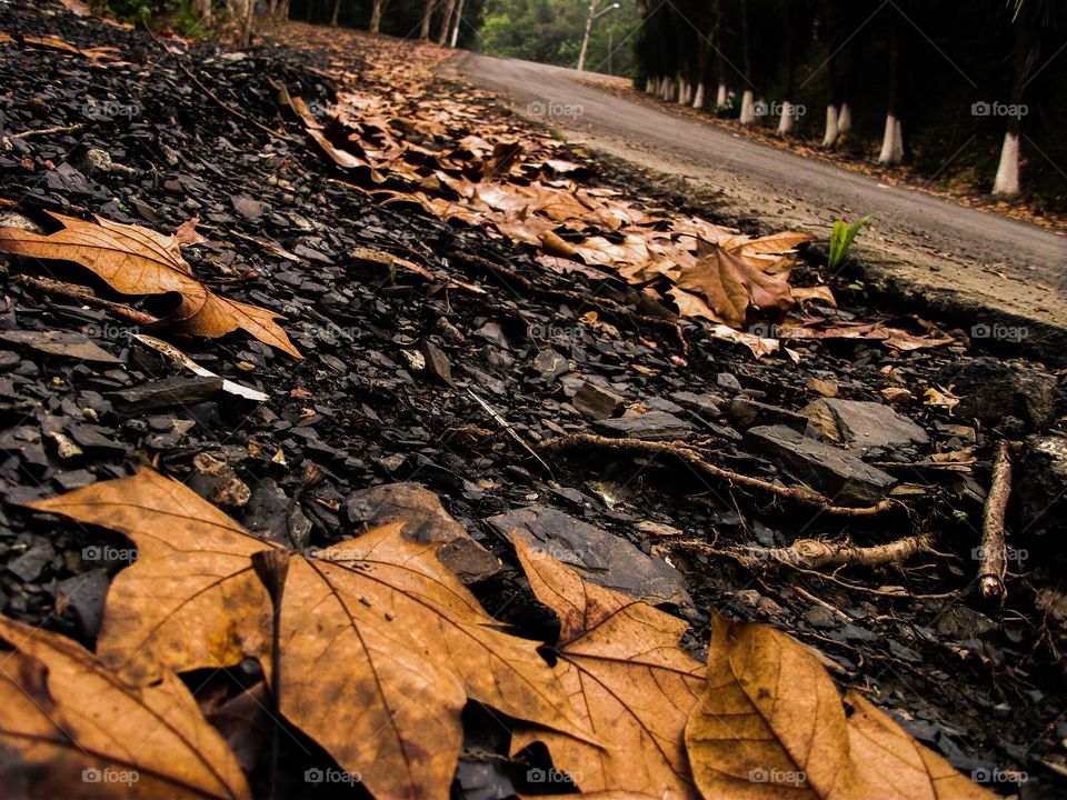Estrada de muito tempo atrás.