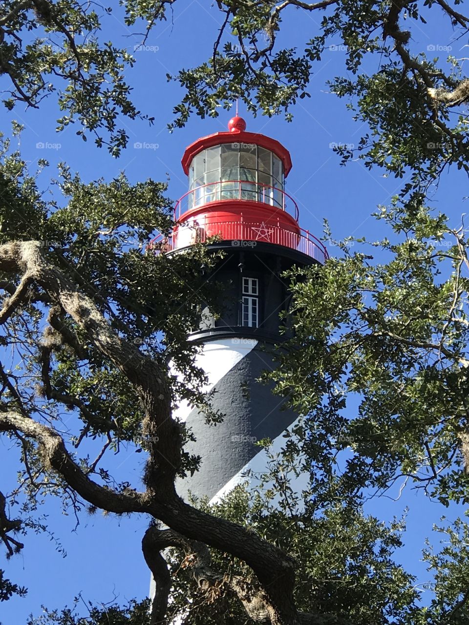 Beautiful view through the trees of the historic St. Augustine lighthouse 