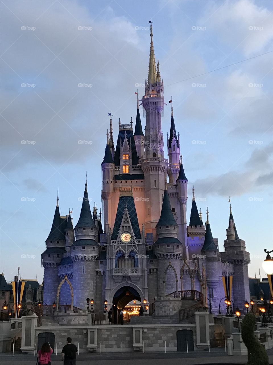 Cinderella's castle 