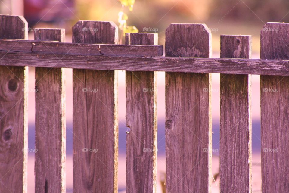 wooden fence