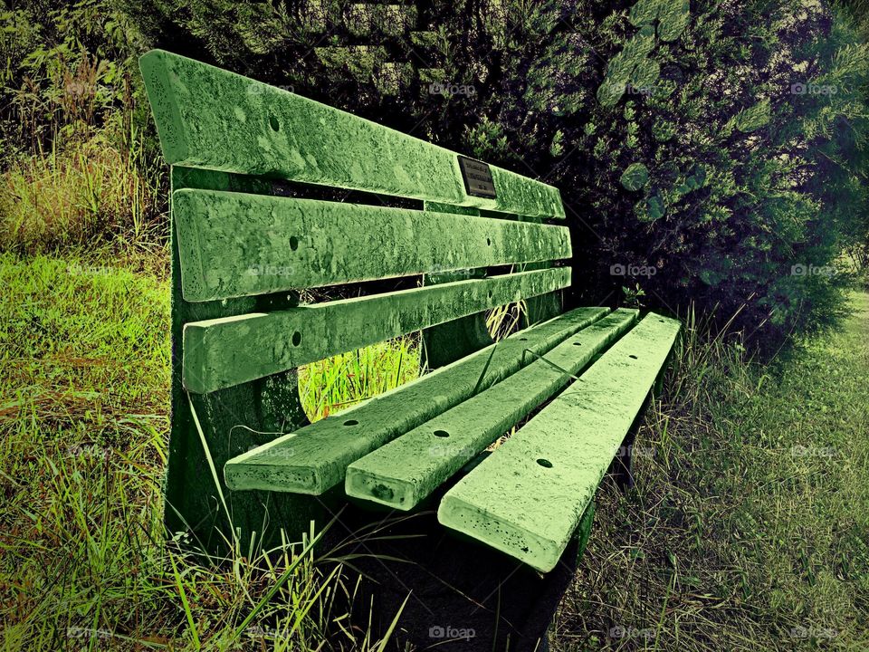 Green story-green bench