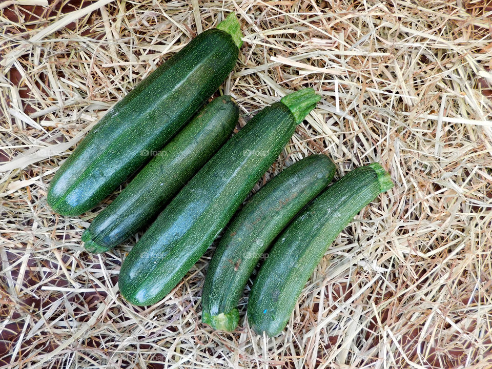 zucchini