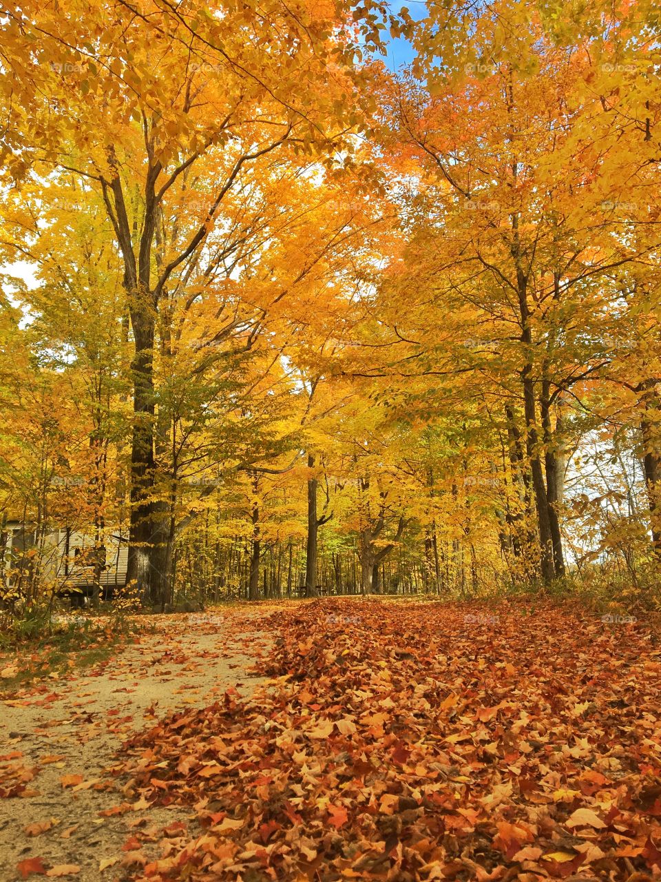 Enjoying the beautiful fall colors 