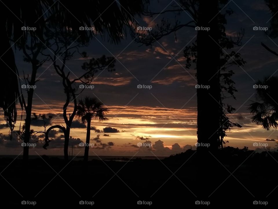 And the night begins! 