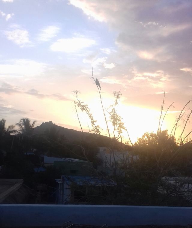sun set