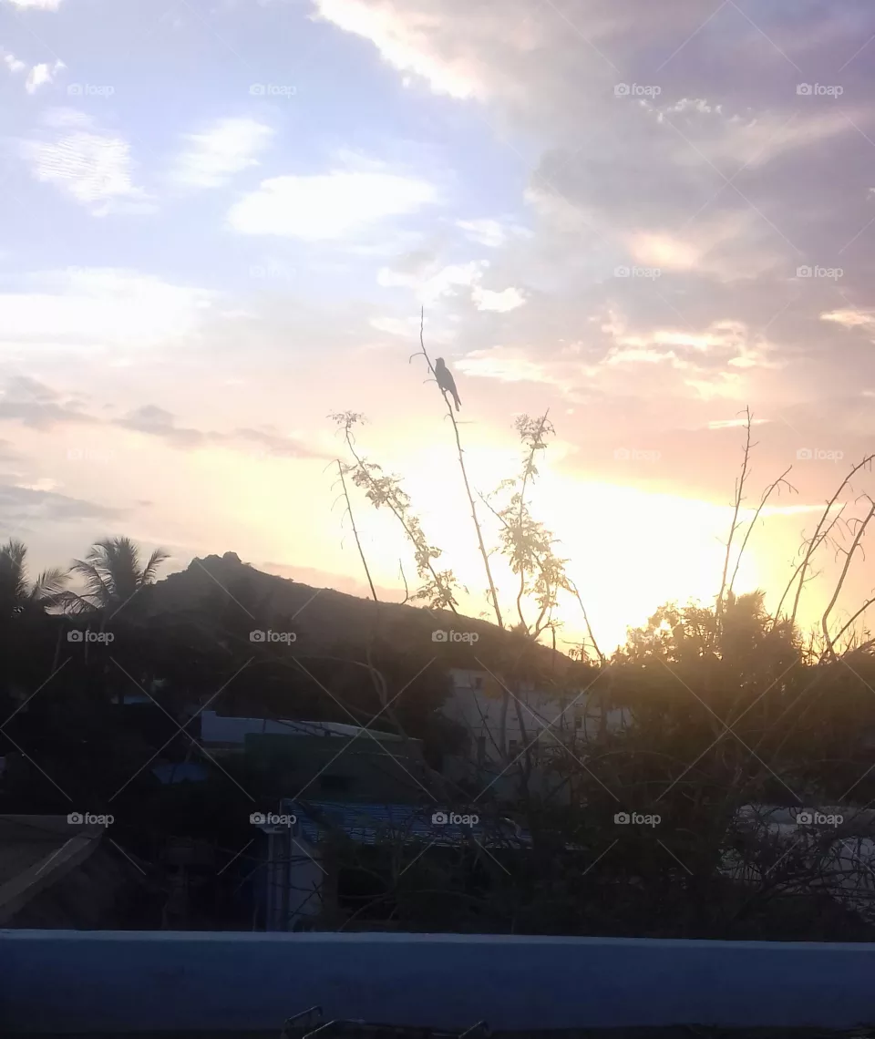 sun set