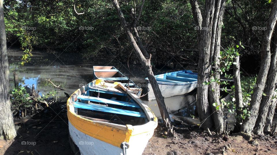 Barcos no mangue. perto de onde eu moro tem um mangue, onde capturou essa foto