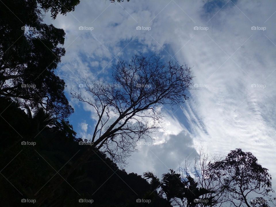 naturelove, beautiful sky, dark background, beautiful picture, evening click