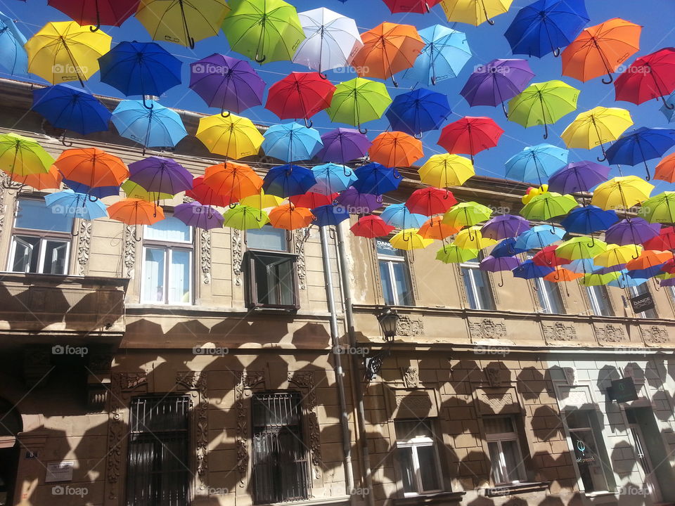 umbrella. Colores
