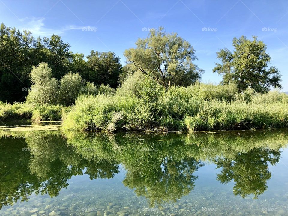 Meadow landscape in summer