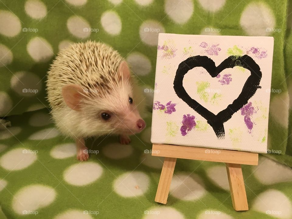 Melvin painting! 