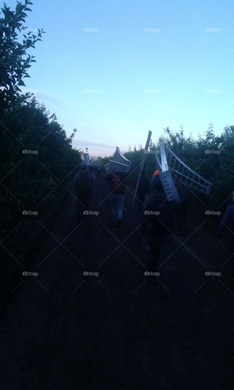 comenzando la jornada