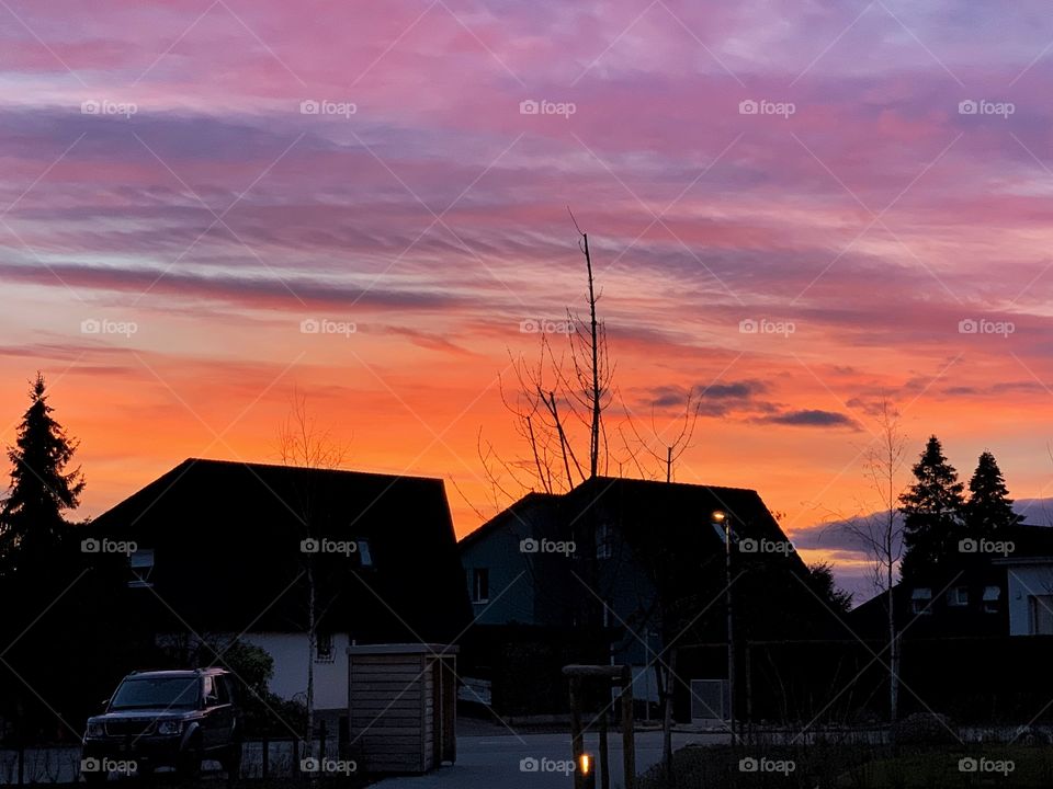 Trees and houses silhouette at sunset 