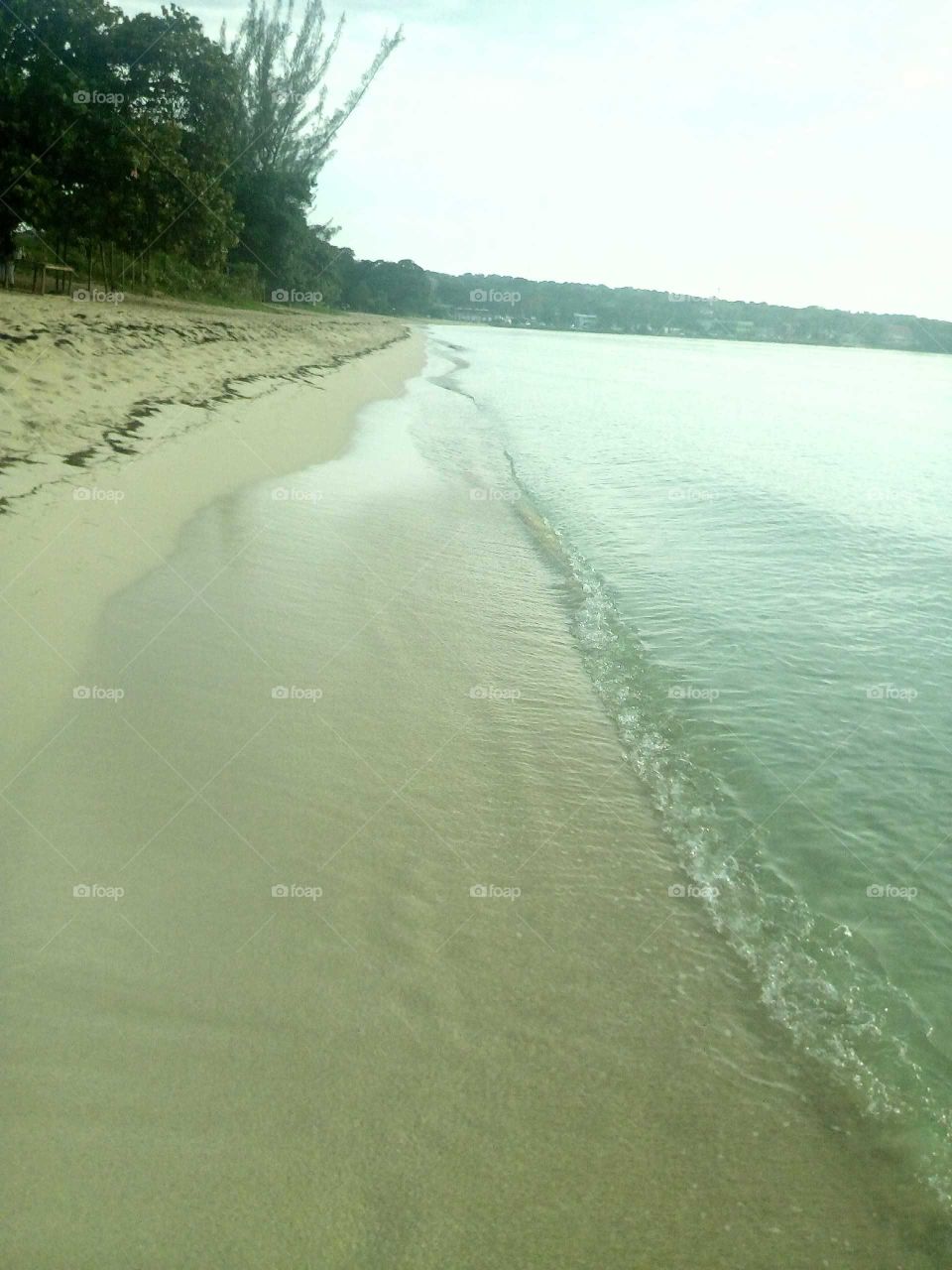 I love to take a dip in the ocean and all take my friends as well an I all so love to take a book as well