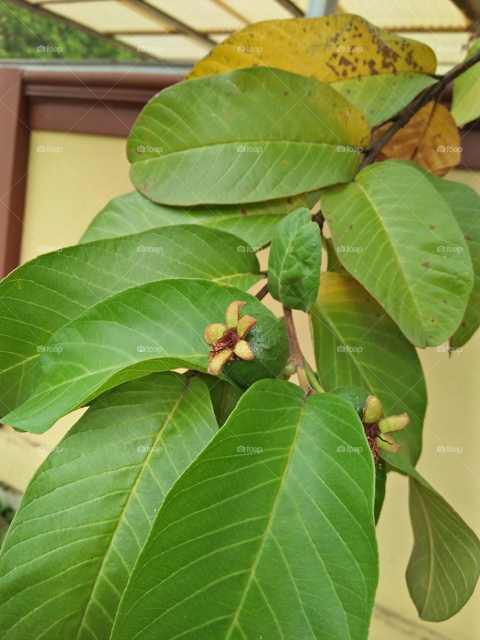 Best of 2021: Nature