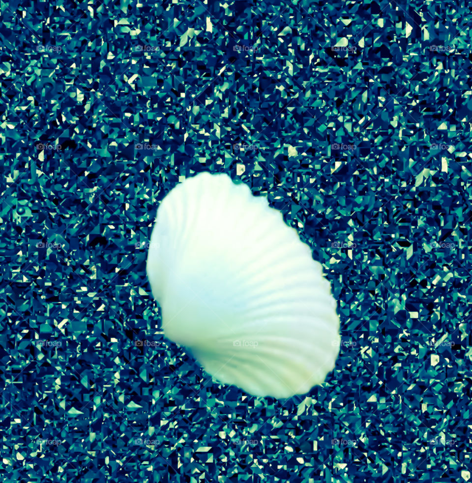 shell