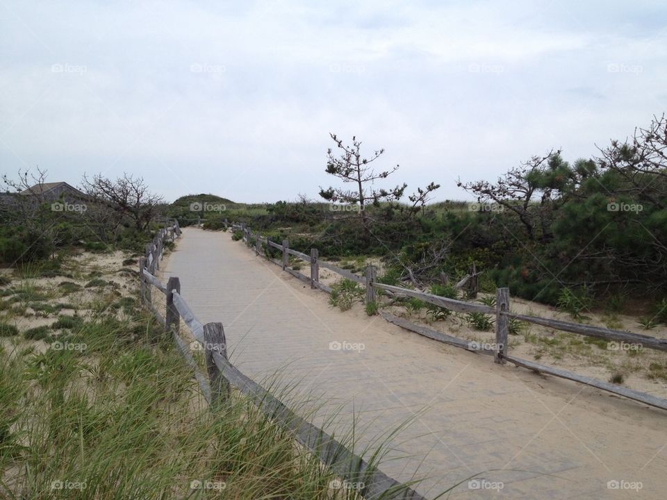 Cape Cod National Seashore