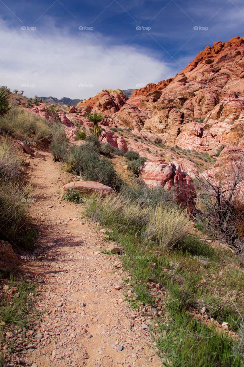Red Rock Canyon Trail