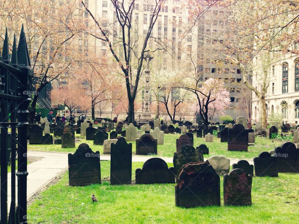 Cemetery in New York. An old cemetery in the financial district of Manhattan 