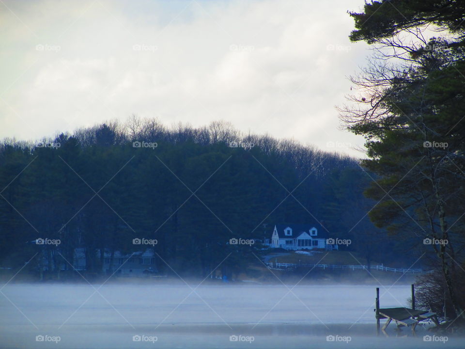 Snow, Winter, Tree, Fog, Landscape