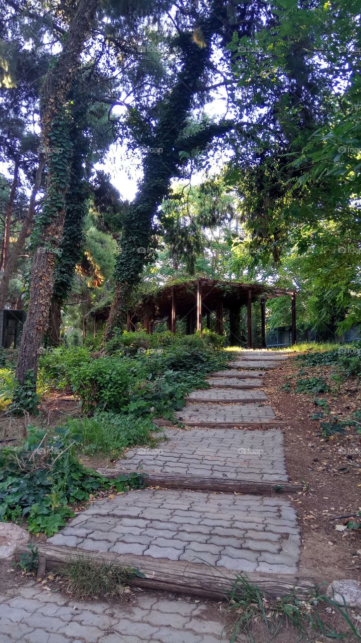 A calming path leading to a patio in Athens,Greece