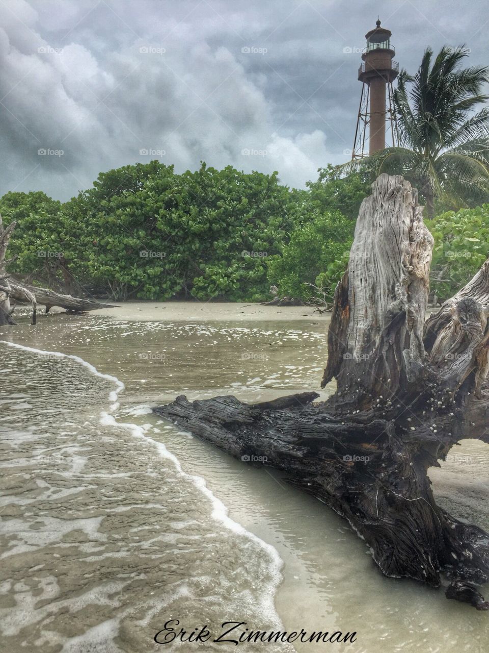 Lighthouse and driftwood..