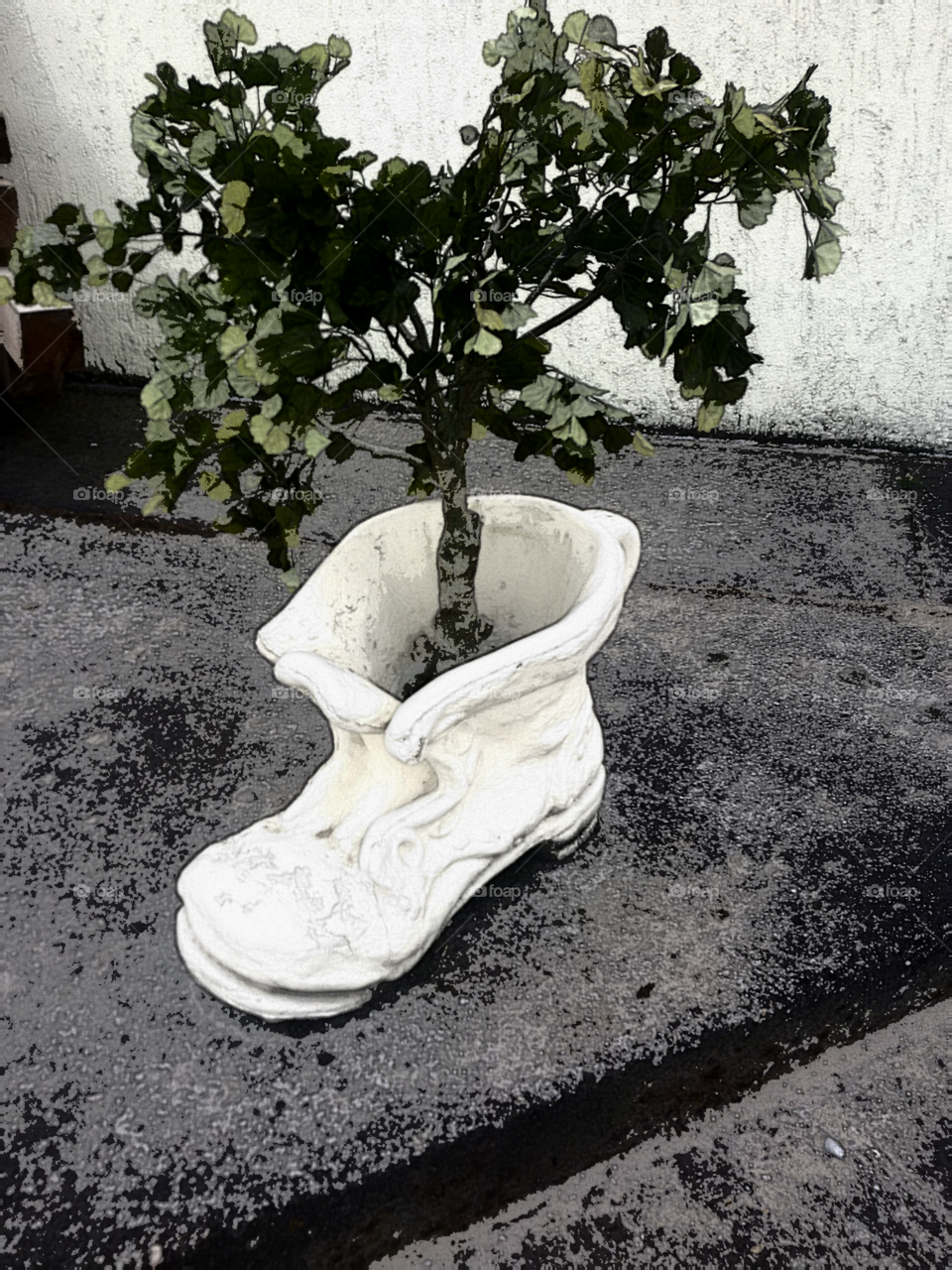 Tree in a ceramic boot