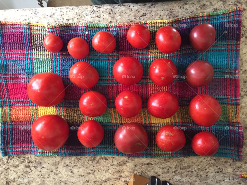 Ripened red tomatoes 