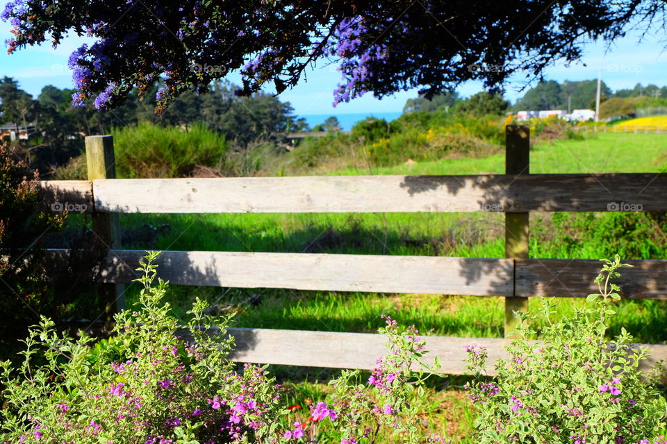 Fence in the countryside