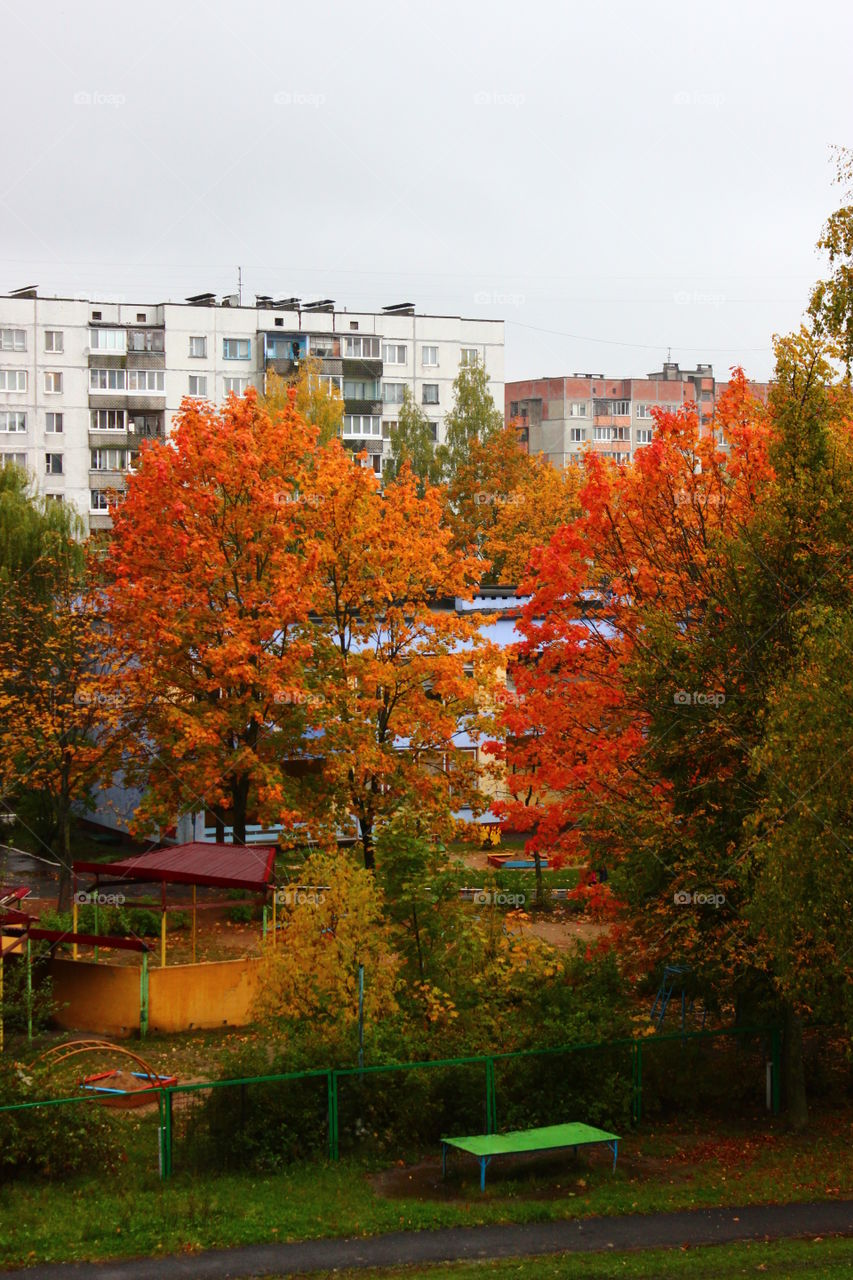 autumn landscape