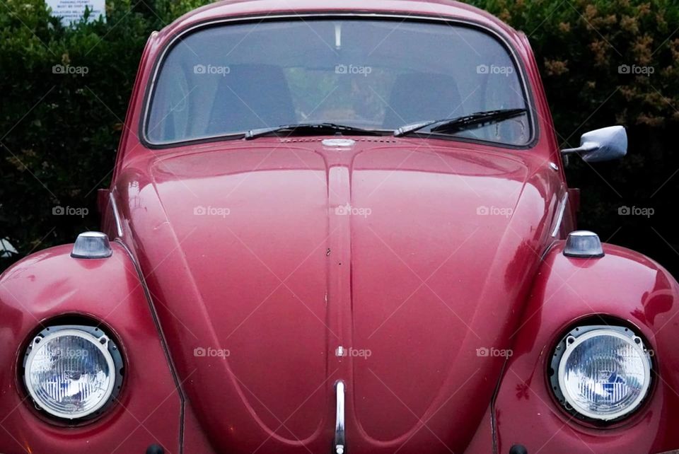 A restored Volkswagen Bug sits awaiting its next journey