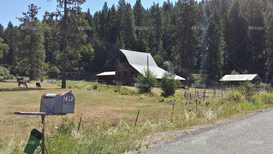 No Person, Landscape, Wood, Tree, Outdoors