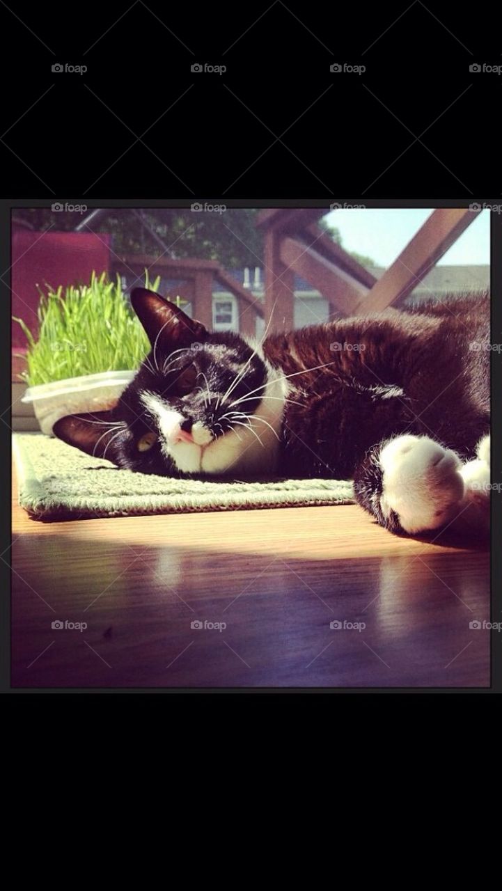 Sun Bath