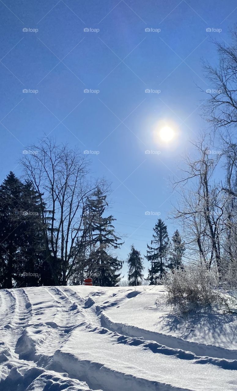 Winter scene with blue sky and sunshine 