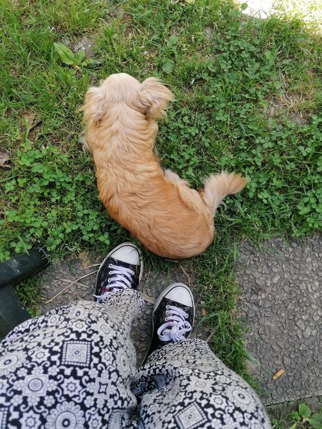 love 🐕 ♥️