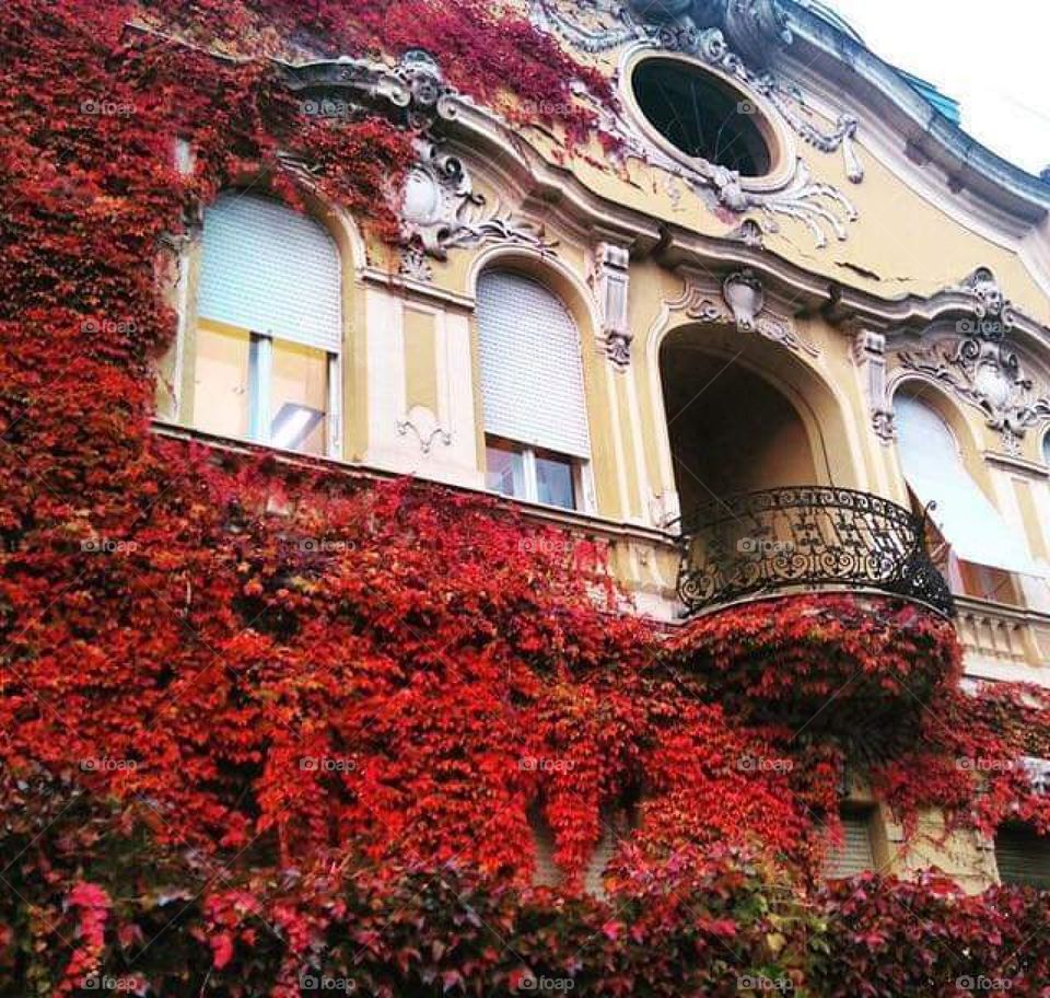 Osijek city from Croatia