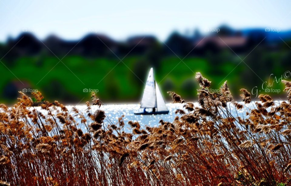 sky green nature lake by gaguling