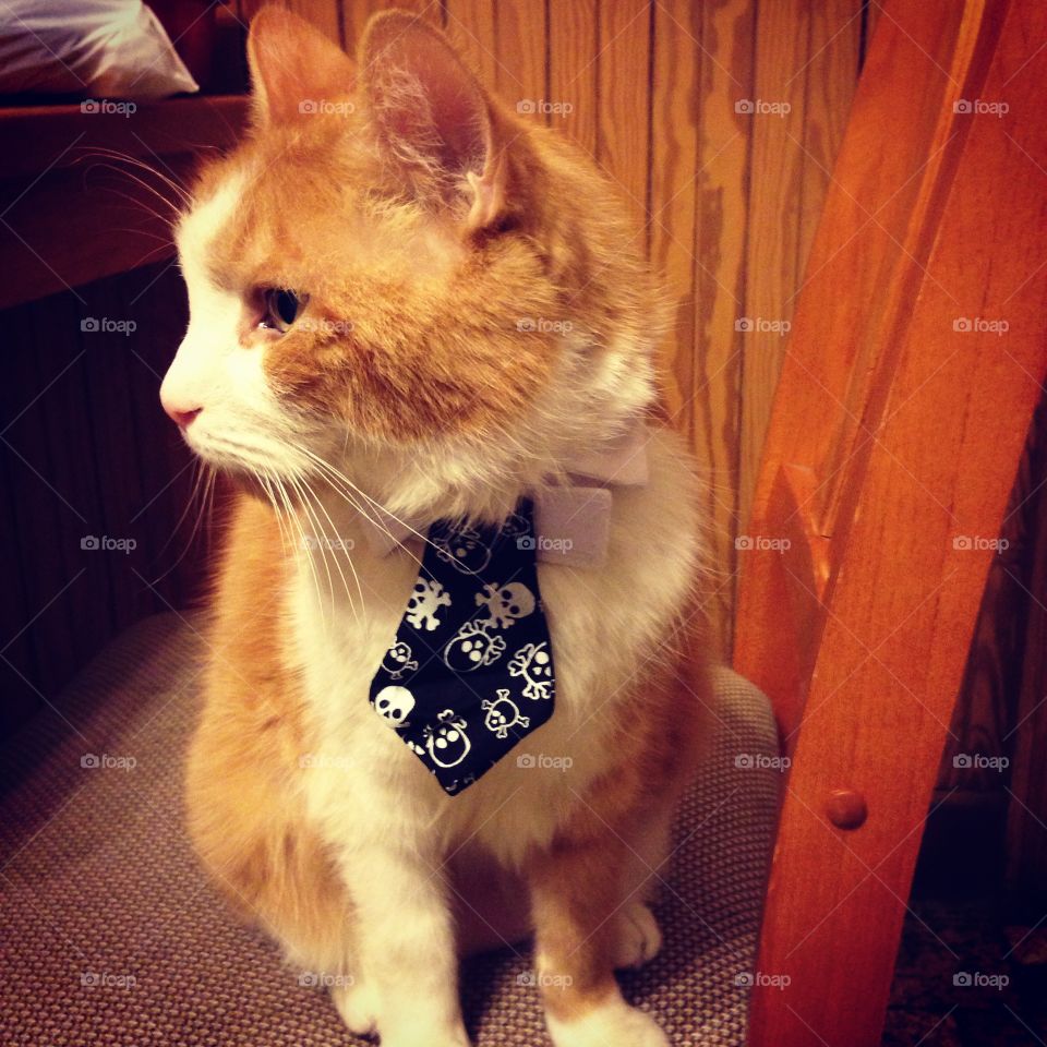 Looking fly with a tie
