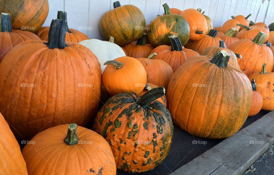 Pumpkins