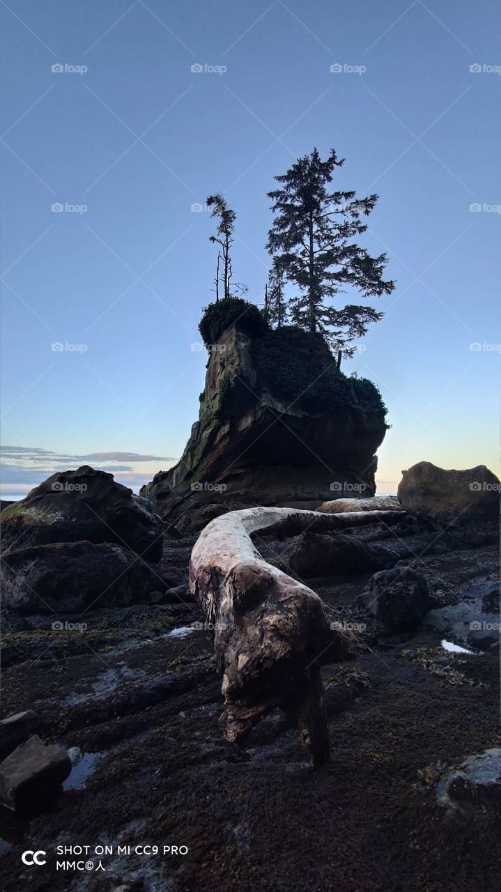 beach and bay series