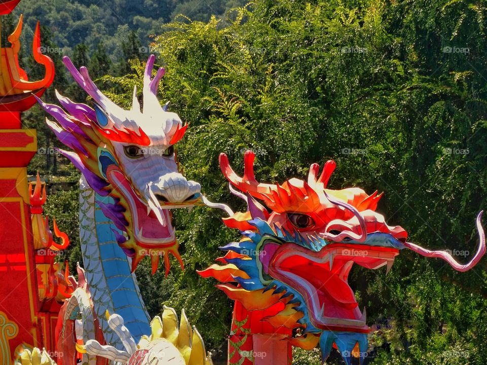 Colorful Chinese Dragon
